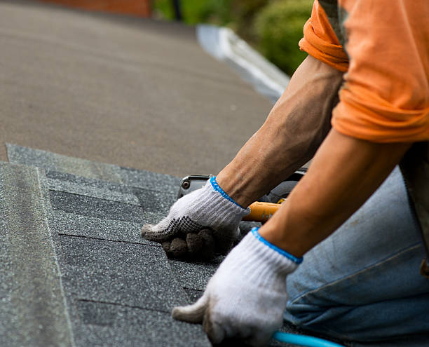 Quick and Trustworthy Emergency Roof Repair Services in Lockport Heights, IL